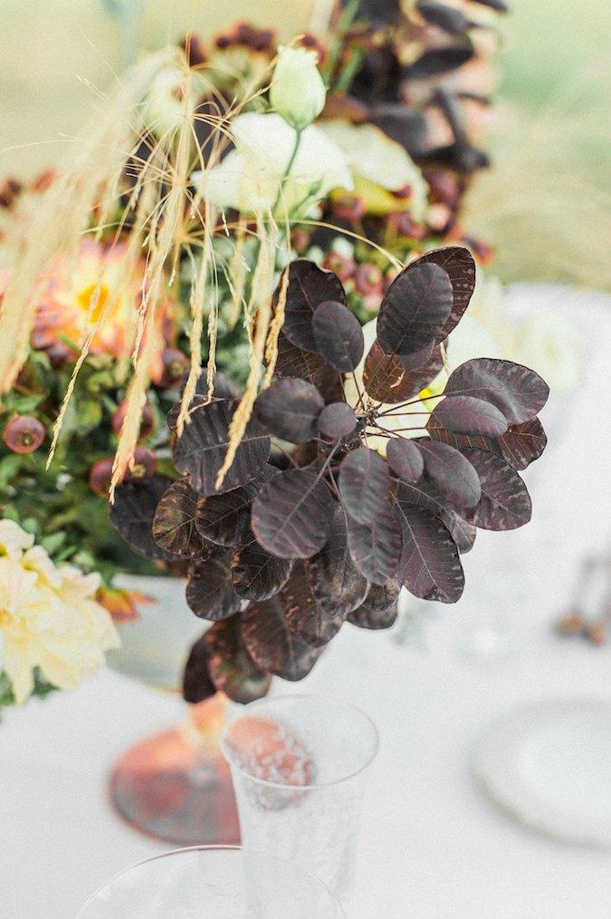 organical slow autumn elopement