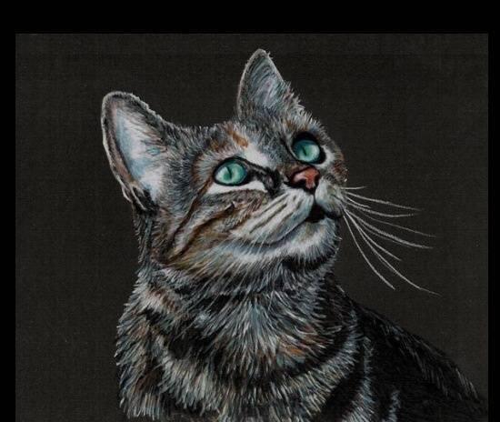 papel negro para dibujar (1)