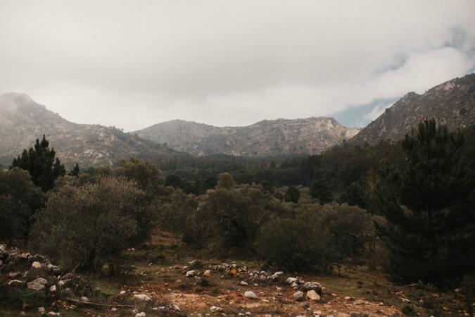 into the woods immacle tanger