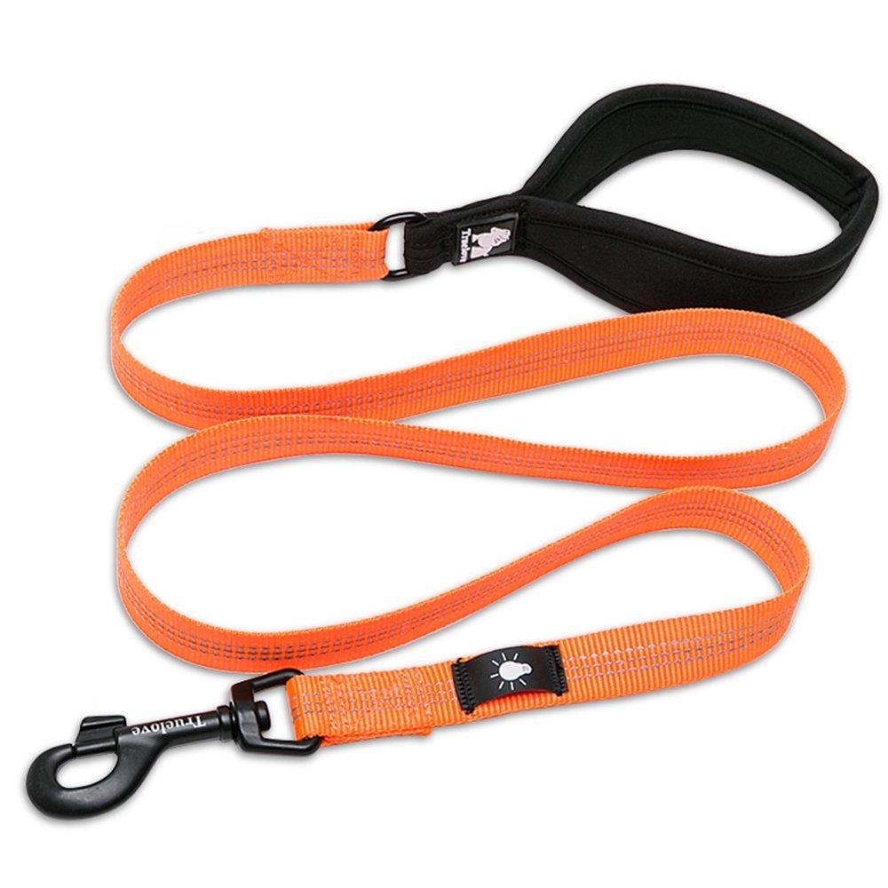 correa para perro reflectante