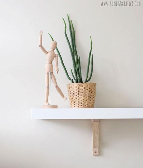 plantas de interior resistentes