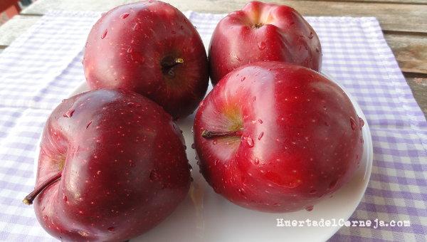 Manzanas lavadas