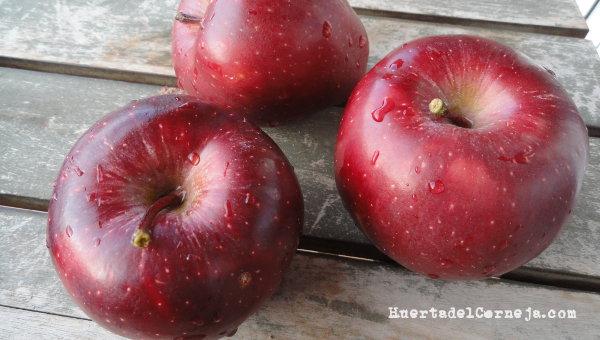 Manzanas rojas