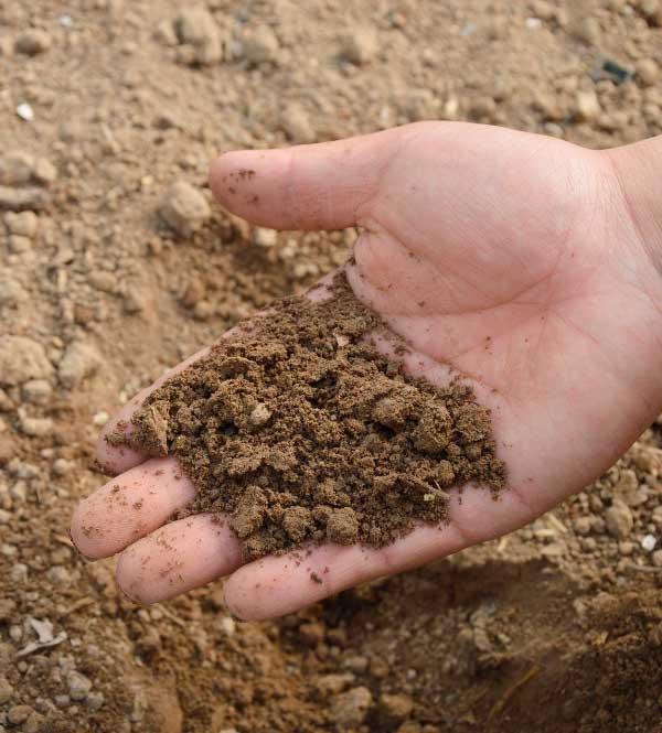 nivel-acidez-alcalinidad