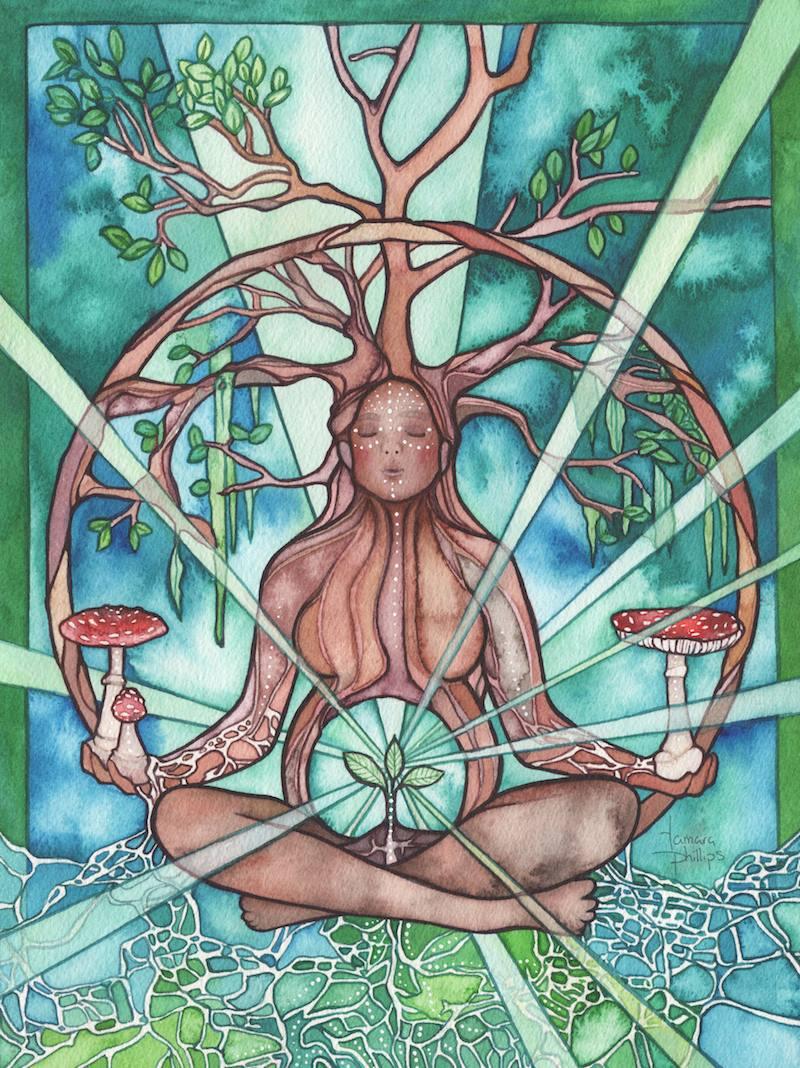 Arte: Tamara Phillips