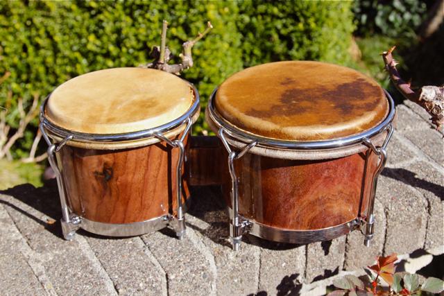 fáciles de aprender