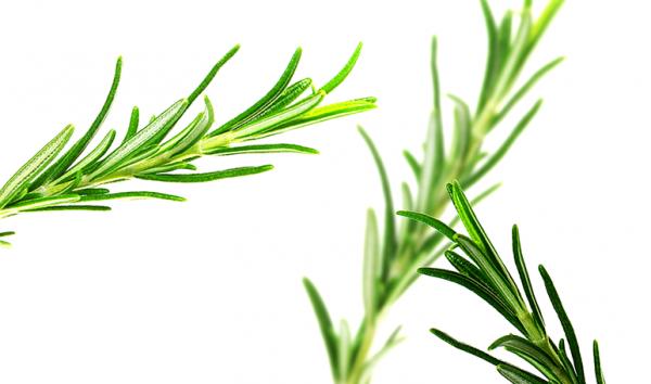 Cómo hacer que el pelo crezca más rápido con remedios caseros