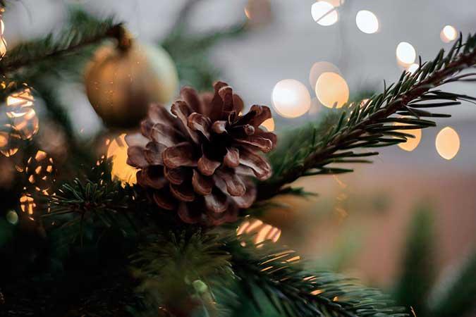 Decoración de árboles de Navidad 2017 - 2018