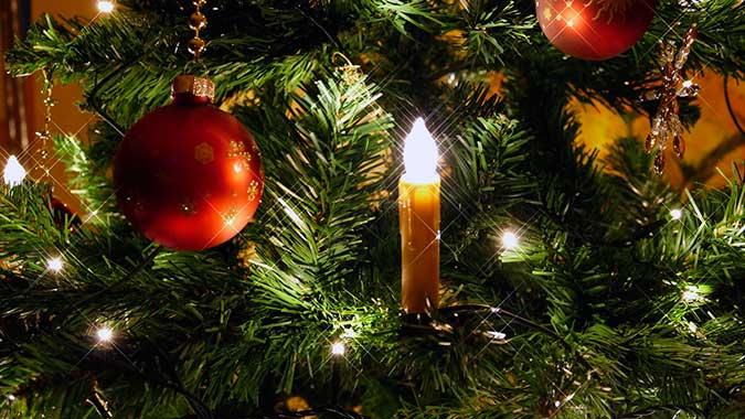 Decoración de árboles de Navidad 2017 - 2018