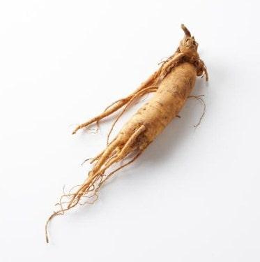 planta afrodisíaca ginseng