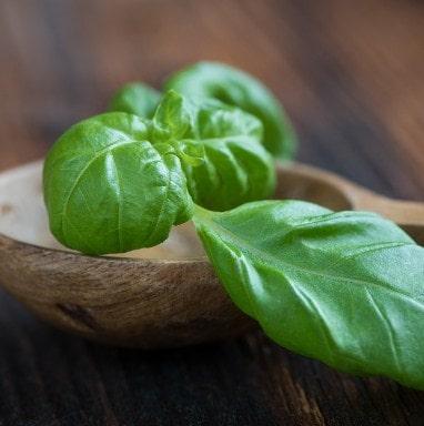 planta afrodisíaca albahaca