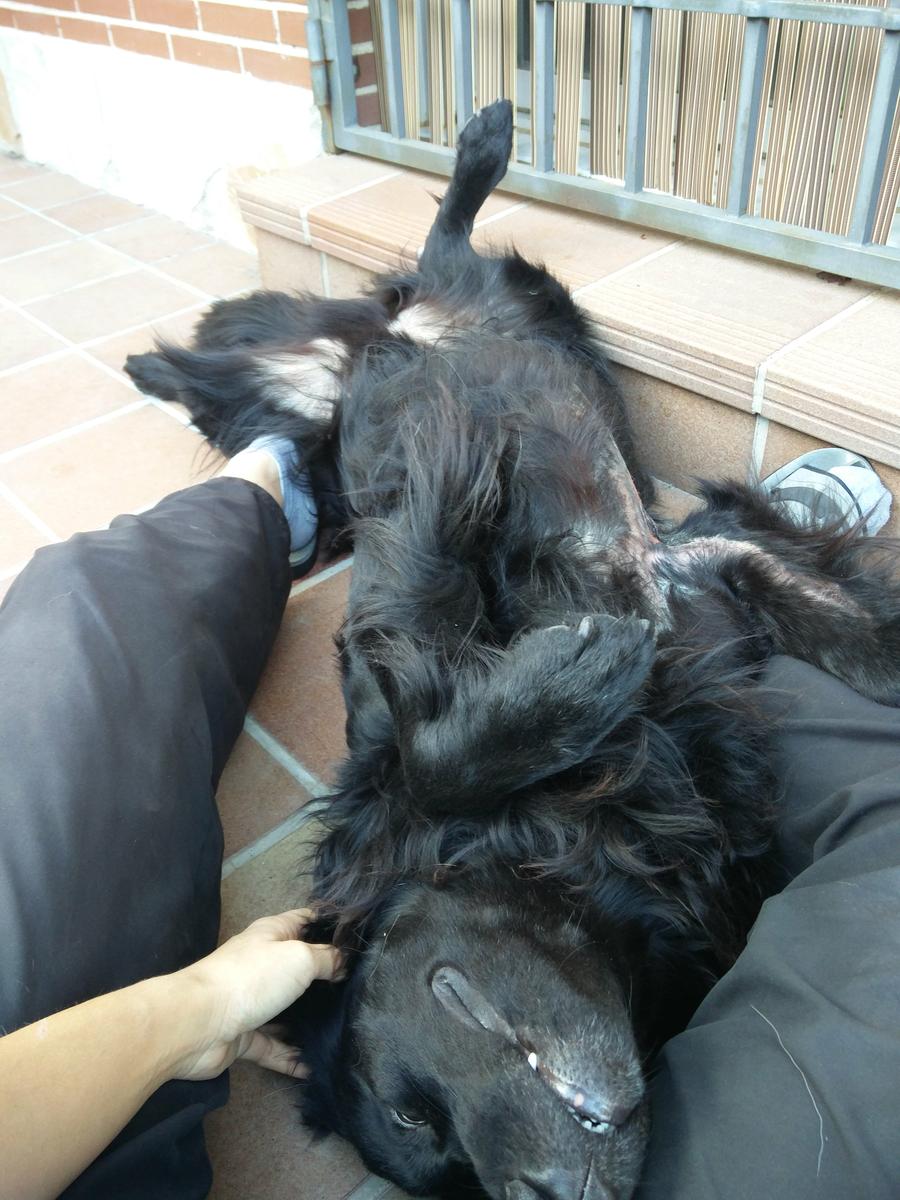 Postura favorita para los masajes