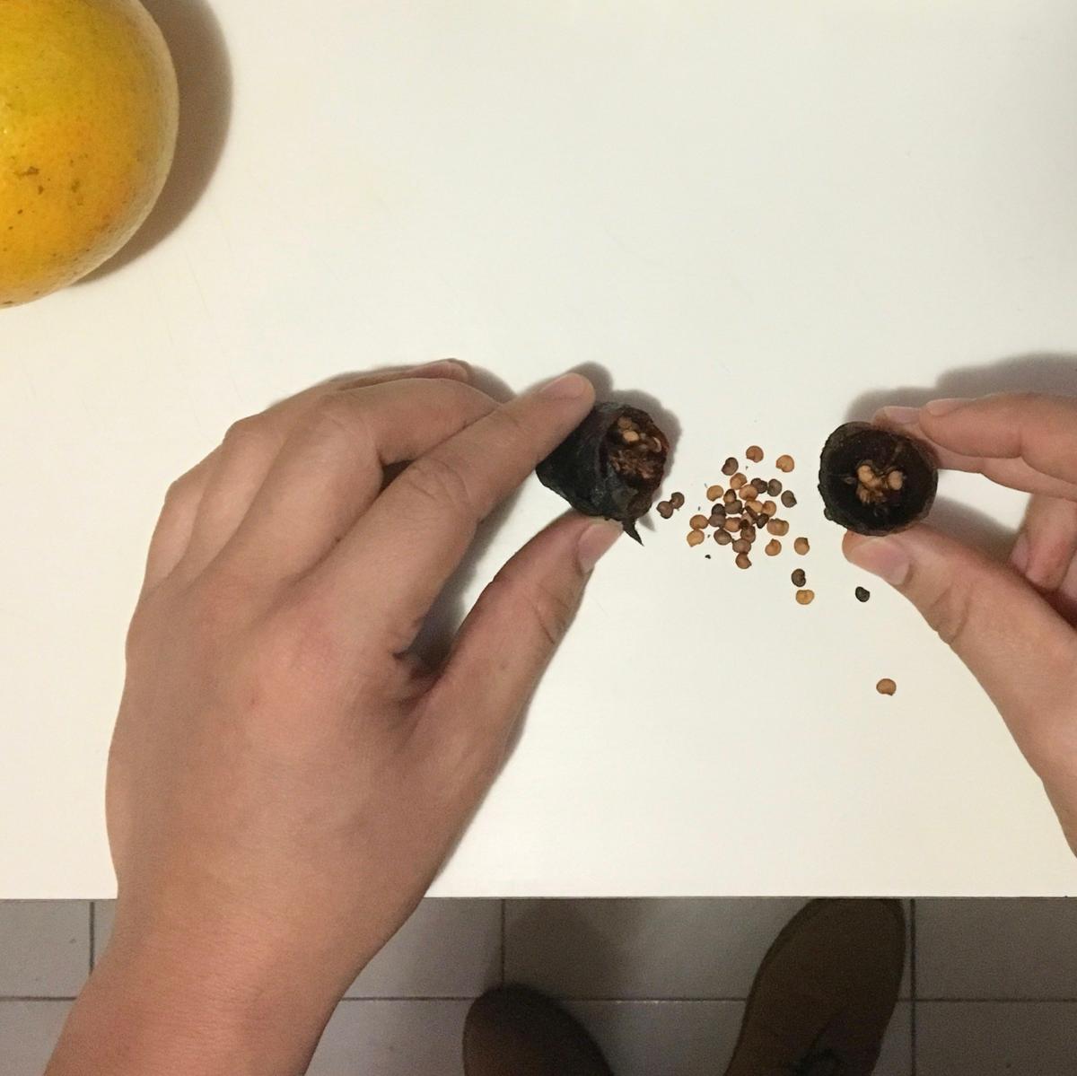 Saca las semillas del chipotle para la salsa