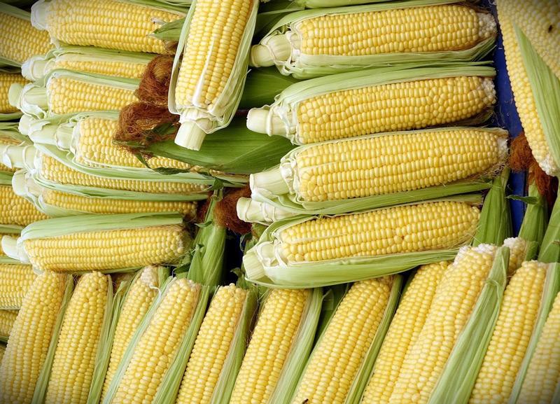 recetas caseras con maíz