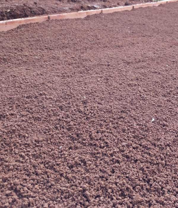 terreno-plantar-cebolla