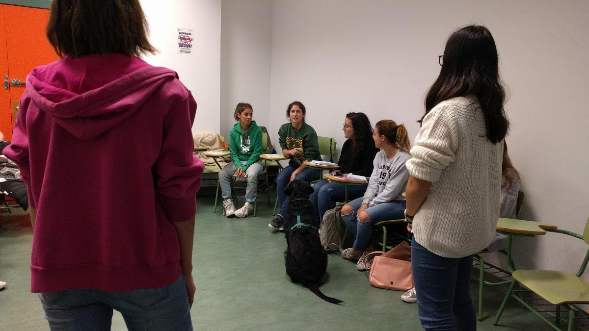 Intervenciones asistidas con animales como alternativa psicoeducativa - Universidad Complutense de Madrid
