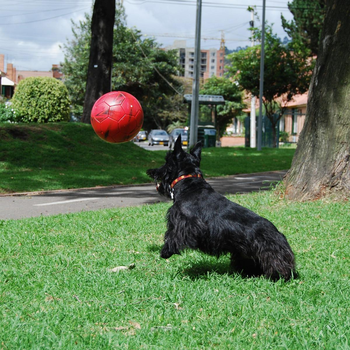 Gaspar y su balón de fútbol