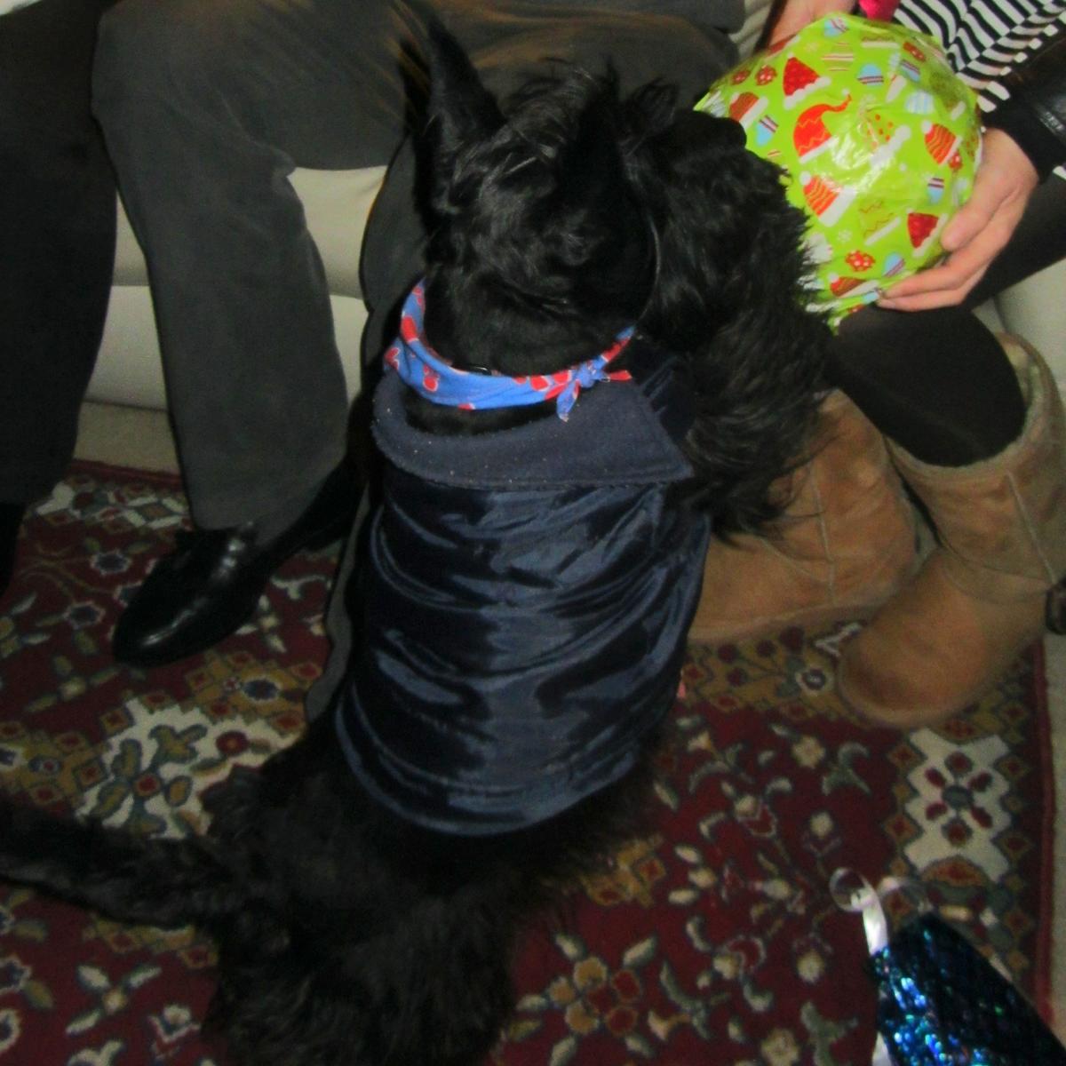 Gaspar con su regalo una Navidad