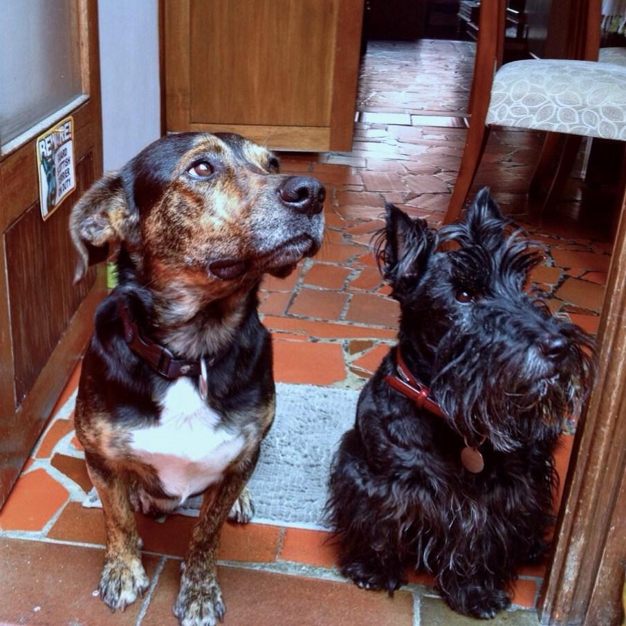 Gaspar y Tobías