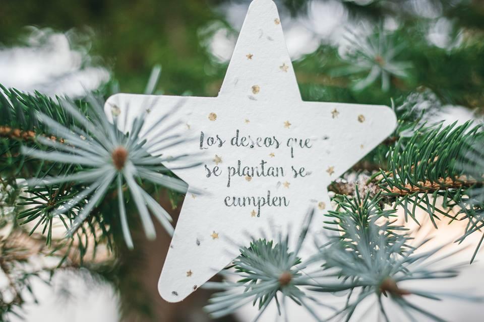 Sorprende a tus clientes con tarjetas de Navidad que se pueden plantar
