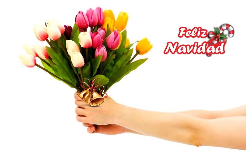 navidad para amistades regalos económico regalar amigos flores