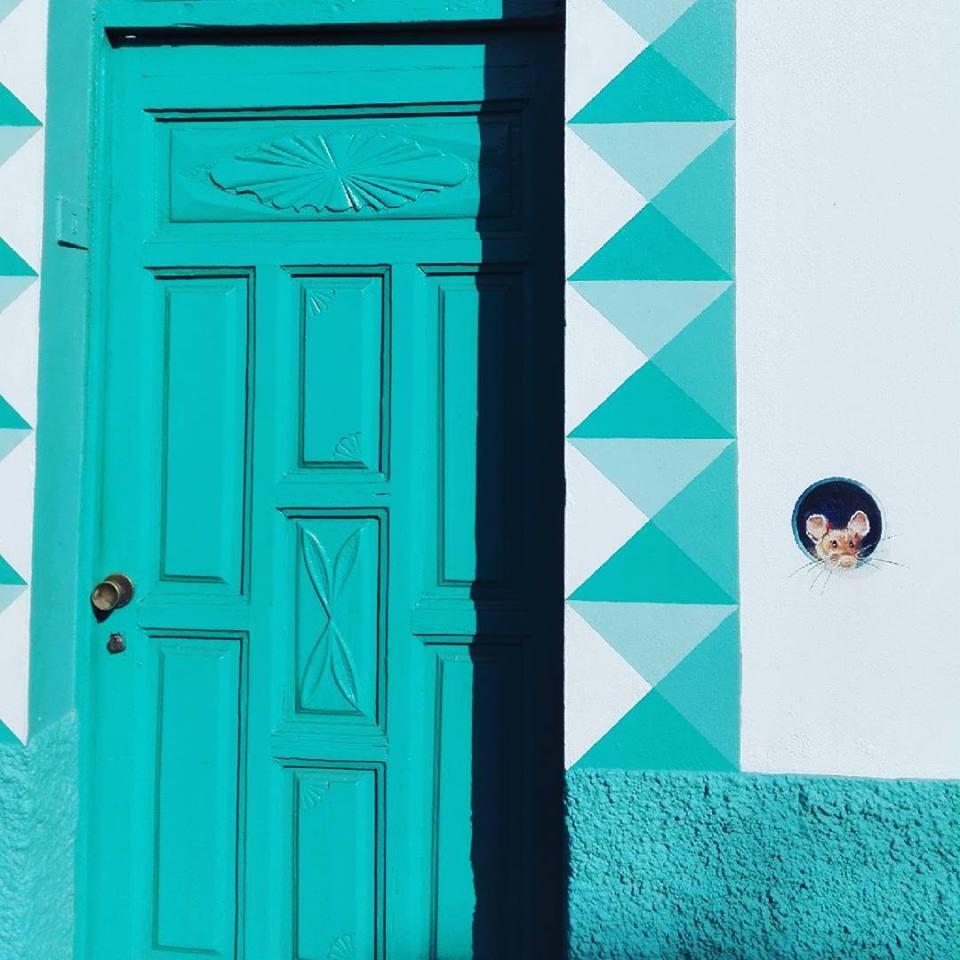 Puerto de la cruz.jpg