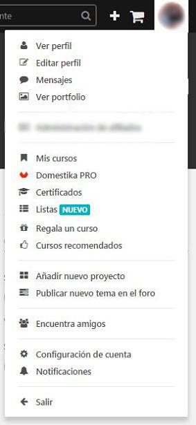 tu perfil en domestika 1