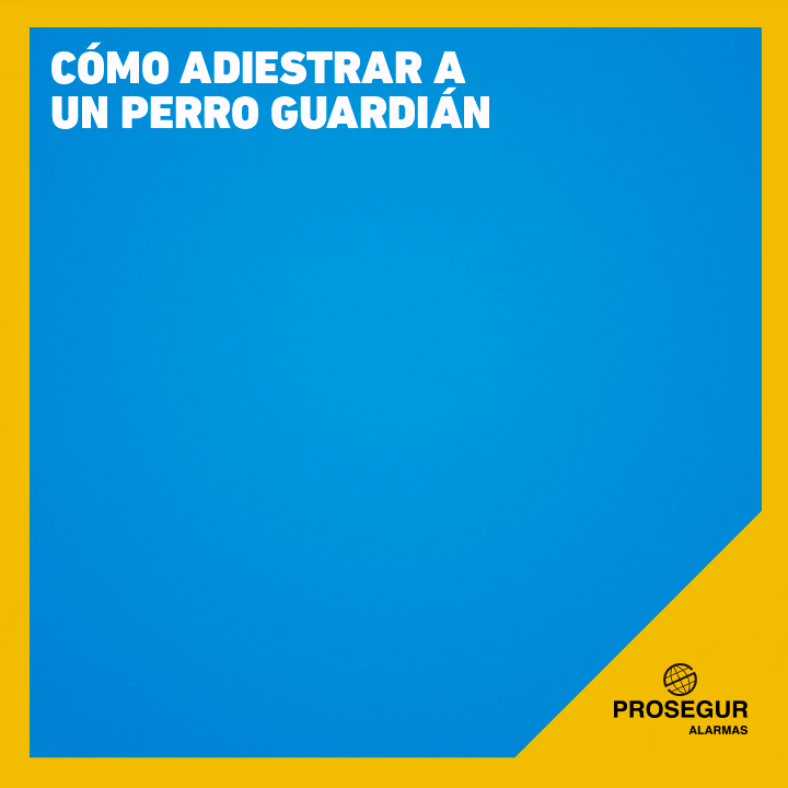 Consejos para adiestrar a un perro guardián - Blog Prosegur