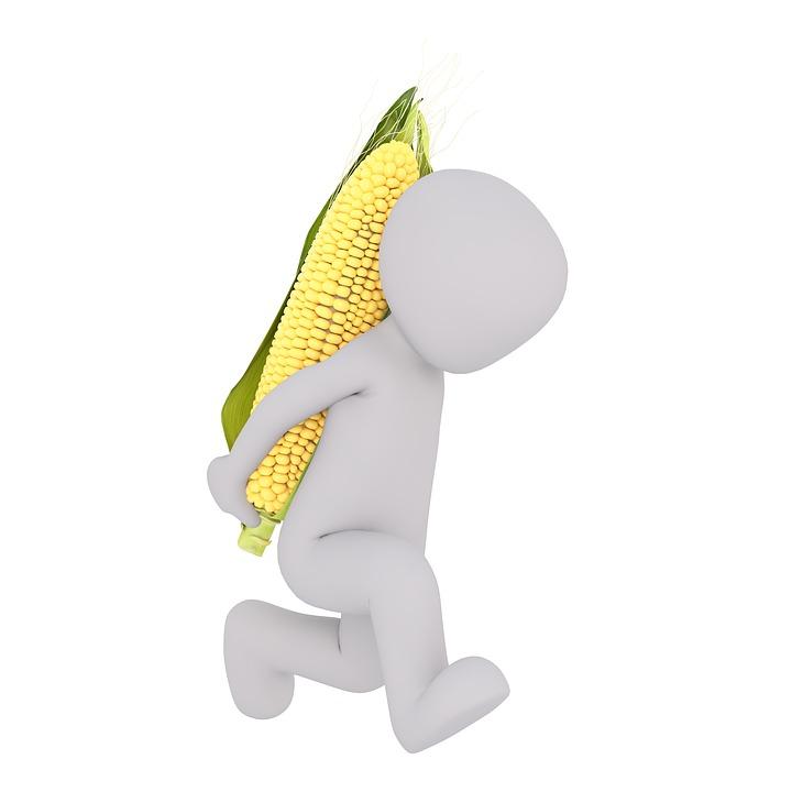 Cocina El Salvador Recetas