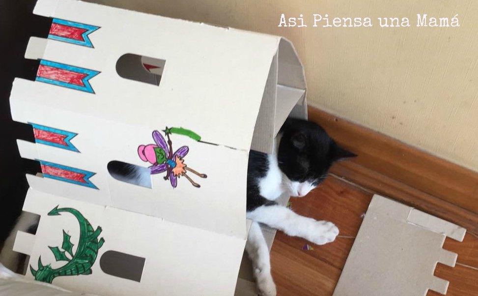 juguetes-carton-mascotas