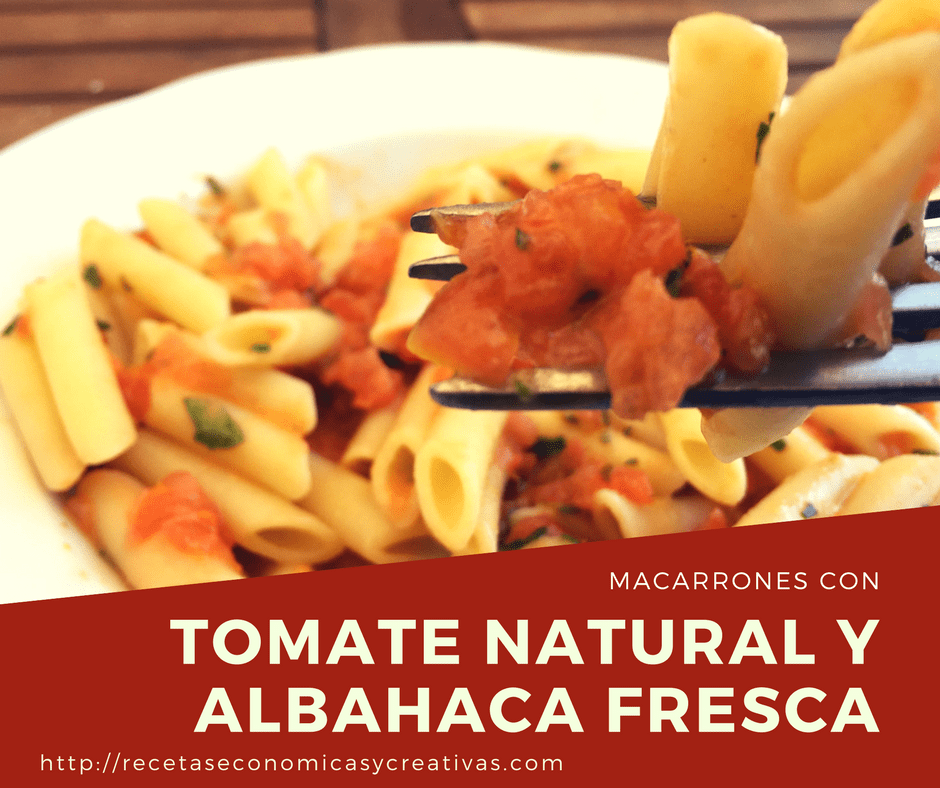 macarrones con tomate natural y albahaca fresca