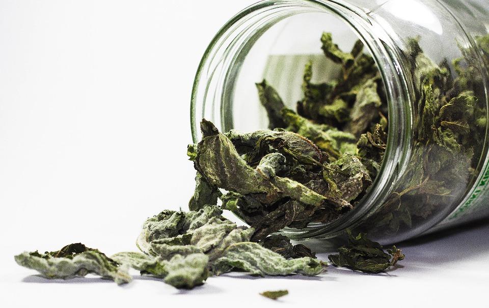 Secreto Especias Universal