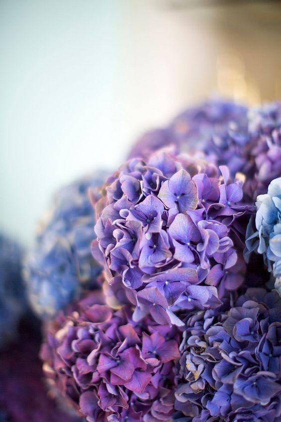 flores boda ultra violet