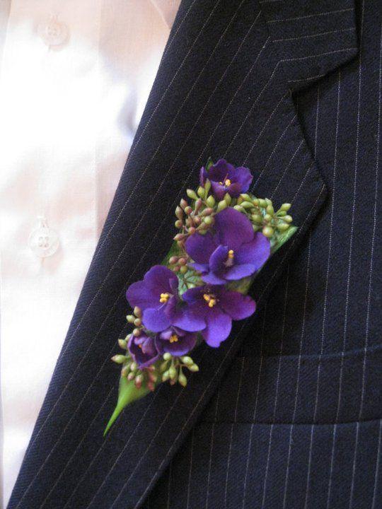 prendido novio ultra violet