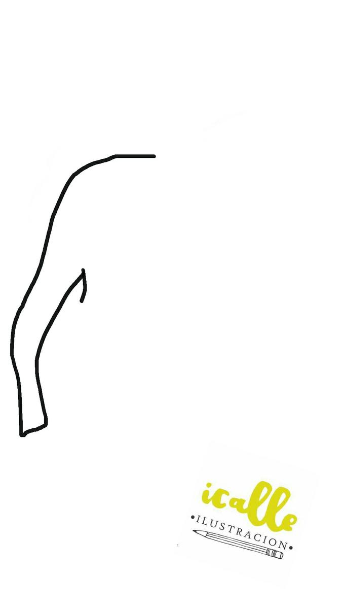 Día 3 resuelto elefante