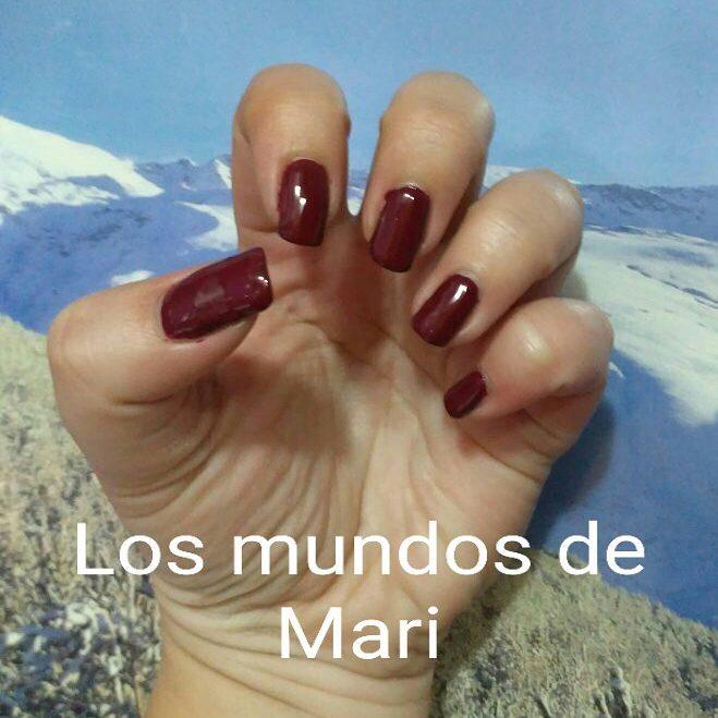 25353791_10215058433361111_2158618583674835126_n