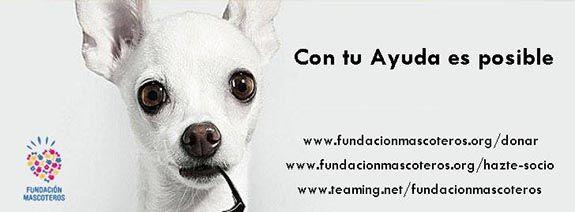 fundación mascoteros El Edén de Bambi