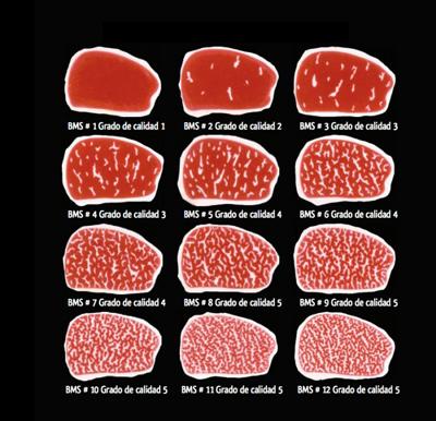 carne de wagyu o de kobe, escala bms marmoleado carne