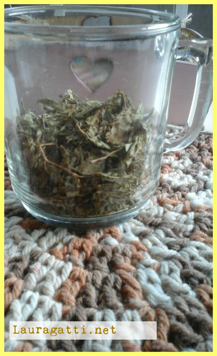 Azúcar o Stevia en Yerba