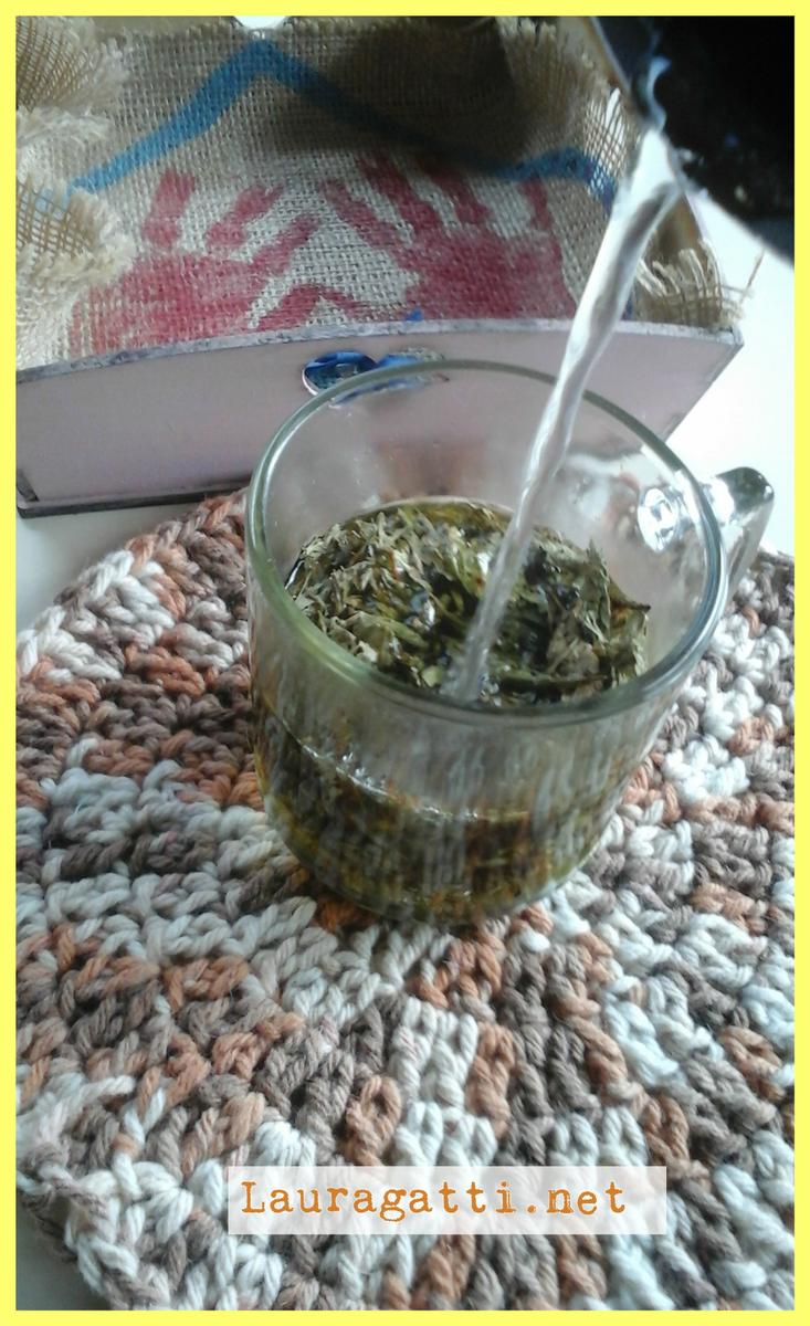 Azúcar o Stevia en Yerba