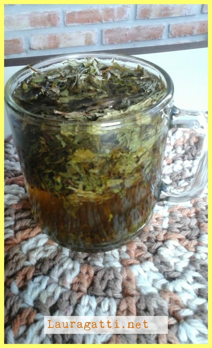 Azúcar o Stevia en Yerba