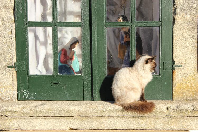 ventana con la virgern rezando