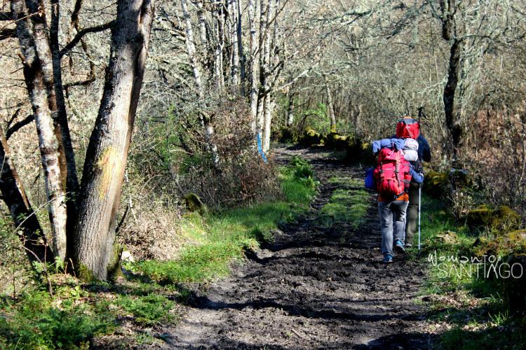 Peregrinos caminando por el barro