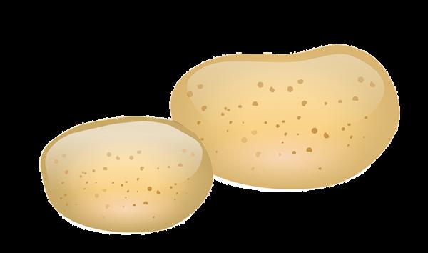 Cómo acabar con las estrías en poco tiempo