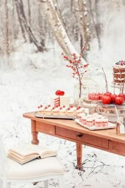 EDISEE_La-boda-con-Diana-Feldhaus-Wedding-Planner_boda-Navidad (51)