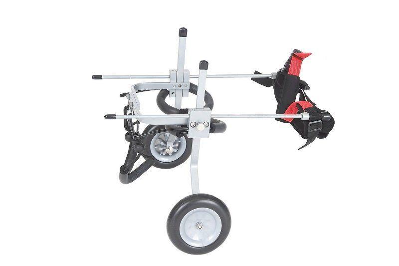 Silla de ruedas para perros