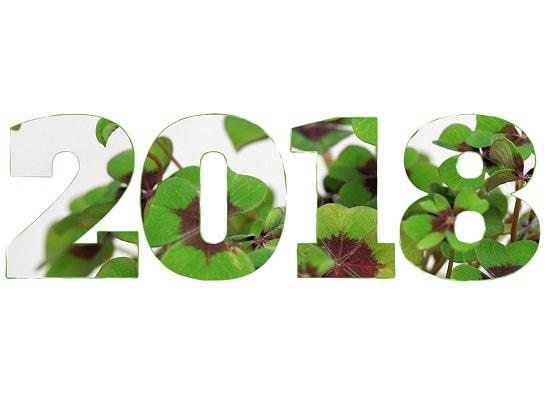 7 propósitos "verdes" para un Feliz Año Nuevo 2.018