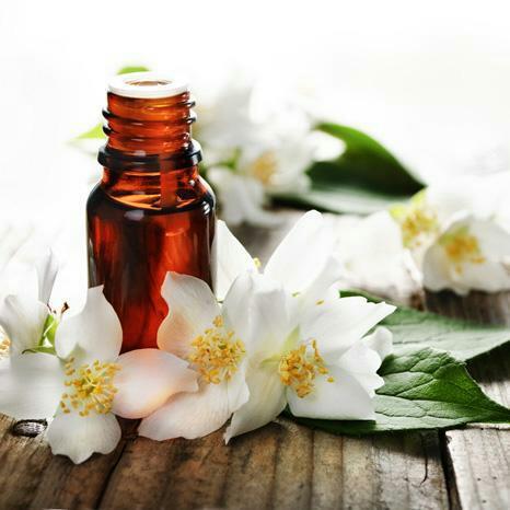 jazmin de leche planta medicinal