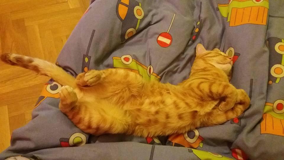 18582080_10155137125625638_852079759180112298_n