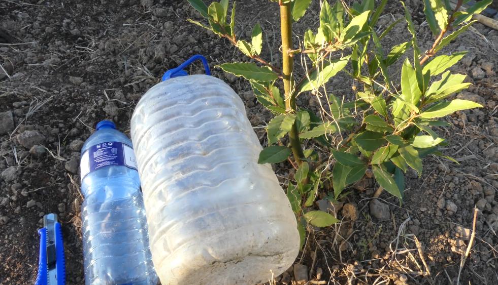 tecnica de riego solar